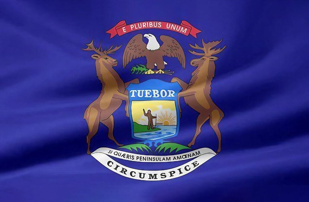 Michigan iGaming Industry Posts $313M in February Revenue Despite Monthly Decline